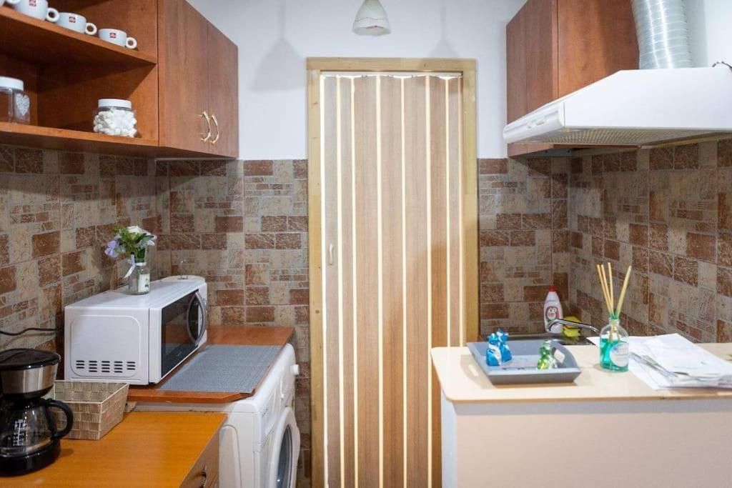 Friendly Little Studio Braşov Eksteriør billede