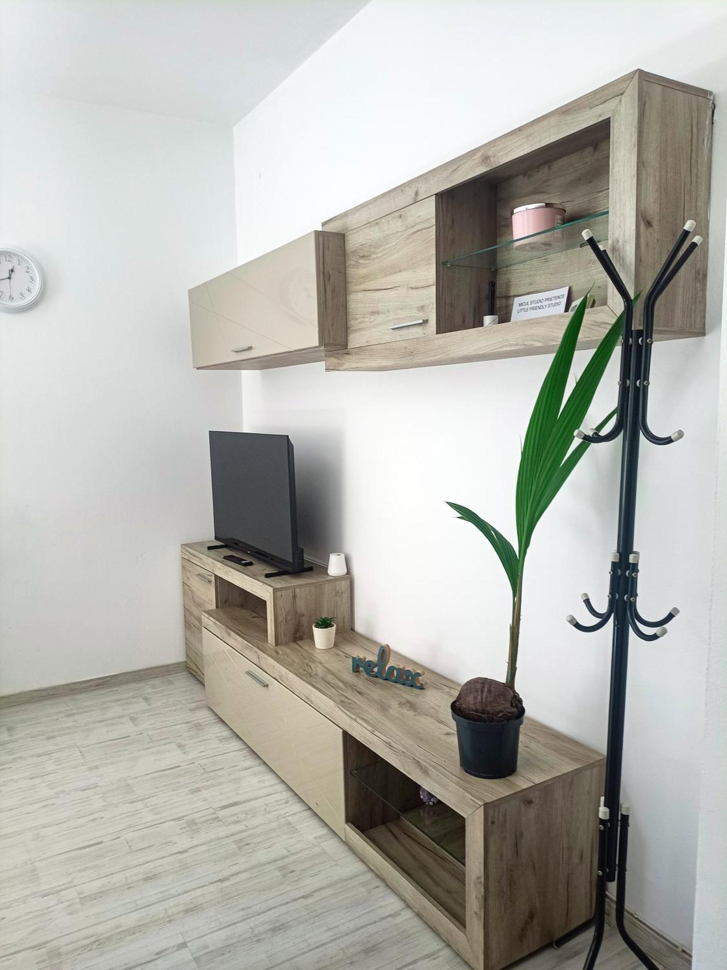 Friendly Little Studio Braşov Eksteriør billede